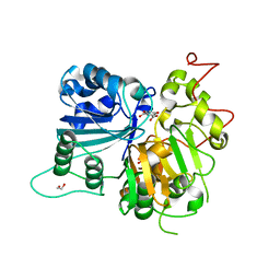 BU of 6dih by Molmil