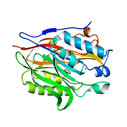 AU of 6dip by Molmil