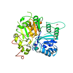 BU of 6dje by Molmil