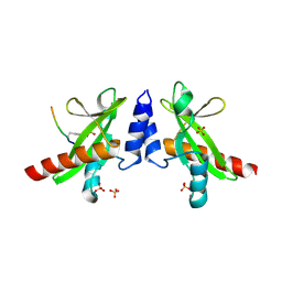 BU of 6dm4 by Molmil