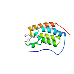 BU of 6dmj by Molmil