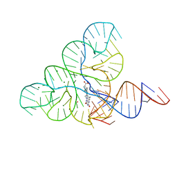 BU of 6dn1 by Molmil