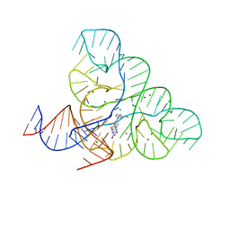 BU of 6dn3 by Molmil