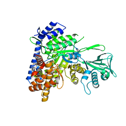 BU of 6dnp by Molmil