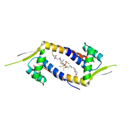 BU of 6do0 by Molmil