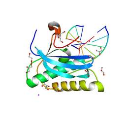 BU of 6dob by Molmil