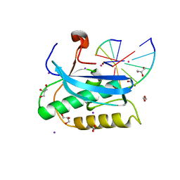 BU of 6doh by Molmil