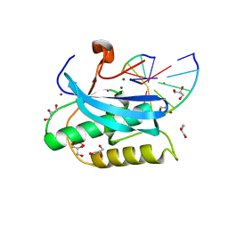 BU of 6dp4 by Molmil