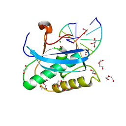 BU of 6dp8 by Molmil