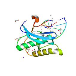 BU of 6dpc by Molmil