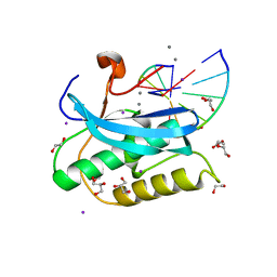 BU of 6dpf by Molmil