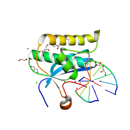 BU of 6dpm by Molmil