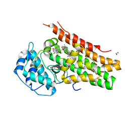 BU of 6dpr by Molmil