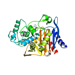 BU of 6dpt by Molmil