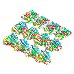 BU of 6dpu by Molmil