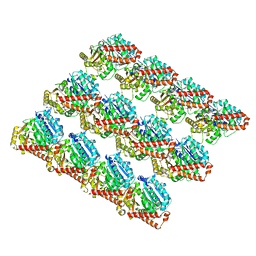 BU of 6dpv by Molmil