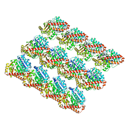 BU of 6dpw by Molmil