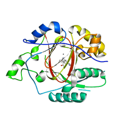 BU of 6dqf by Molmil