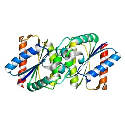 BU of 6dqi by Molmil