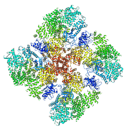 AU of 6drc by Molmil