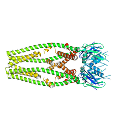 BU of 6dt0 by Molmil