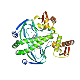 BU of 6dt4 by Molmil