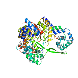 BU of 6dt7 by Molmil