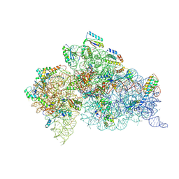 BU of 6dti by Molmil