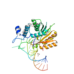 BU of 6du4 by Molmil