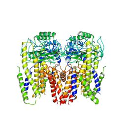 BU of 6du8 by Molmil