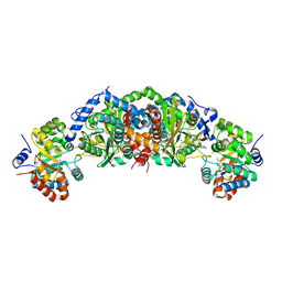 AU of 6dua by Molmil