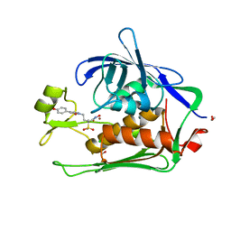 BU of 6dui by Molmil