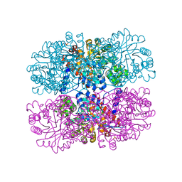 BU of 6dvi by Molmil