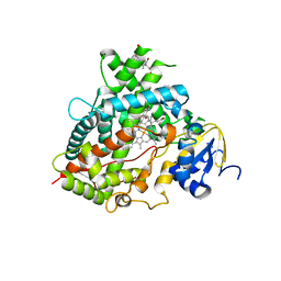 BU of 6dwm by Molmil