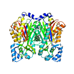 BU of 6dxa by Molmil