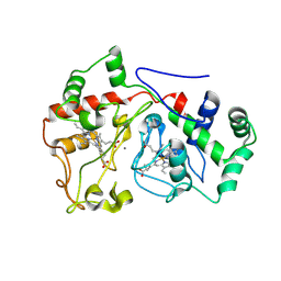 BU of 6e1c by Molmil