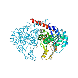 BU of 6e2a by Molmil