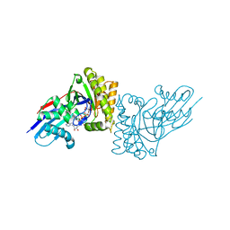 BU of 6e2y by Molmil