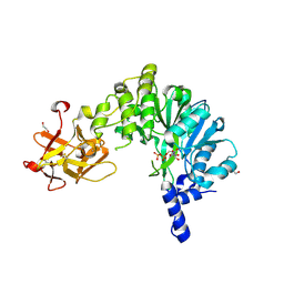 BU of 6e4q by Molmil