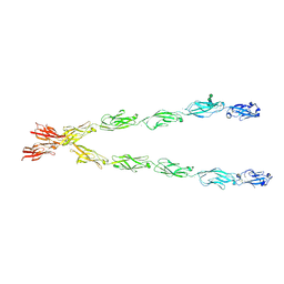 BU of 6e6b by Molmil