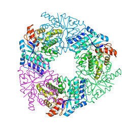 BU of 6e6i by Molmil