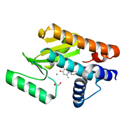 BU of 6e6x by Molmil