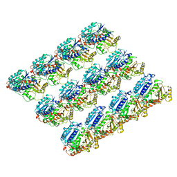 BU of 6e88 by Molmil