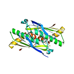 BU of 6ebc by Molmil