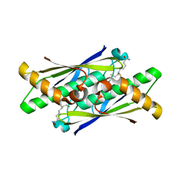 BU of 6ebd by Molmil