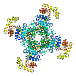 BU of 6ebl by Molmil