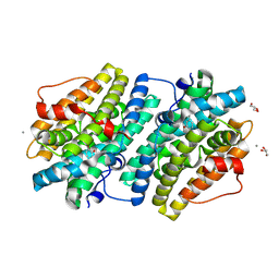 BU of 6ebp by Molmil