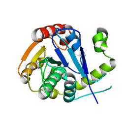 BU of 6ecc by Molmil