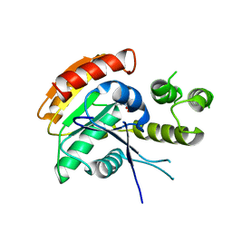 BU of 6ecd by Molmil