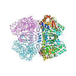 BU of 6ecg by Molmil